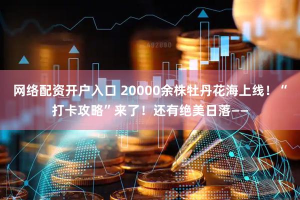 网络配资开户入口 20000余株牡丹花海上线！“打卡攻略”来了！还有绝美日落——